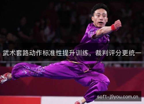 武术套路动作标准性提升训练,裁判评分更统一 武术套路动作标准性提升训练,裁判评分更统一